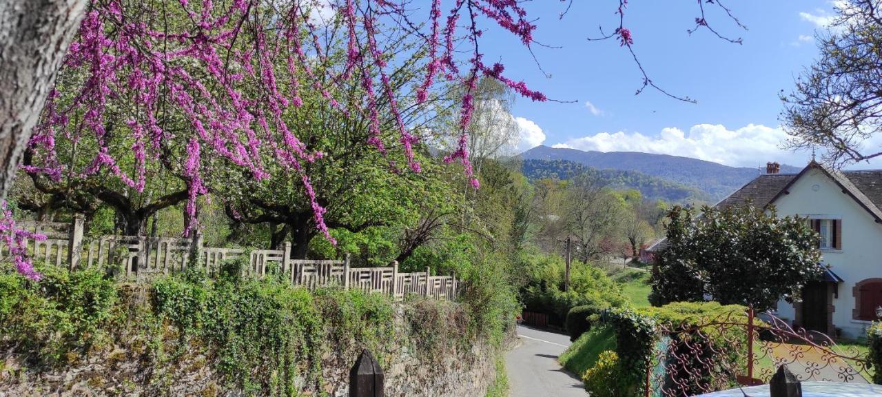 Maison Au Pied De La Montagne Aspet Ngoại thất bức ảnh